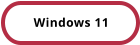 Windows 11